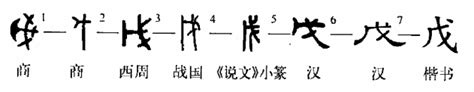 戊戊|细说汉字：戊